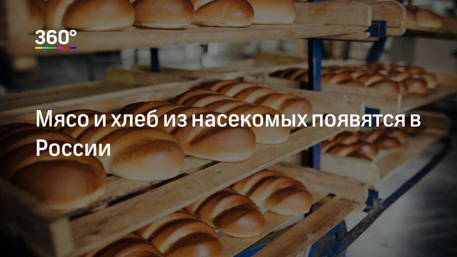 360tv.ru