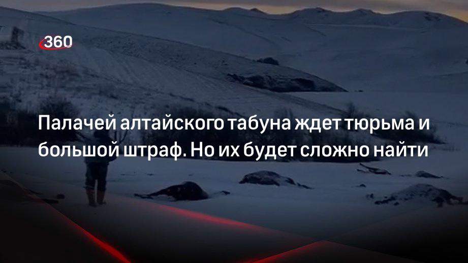 360.ru